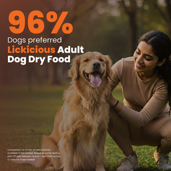 Lickicious Premium Chicken and Vegetable Adult Dog Dry Food