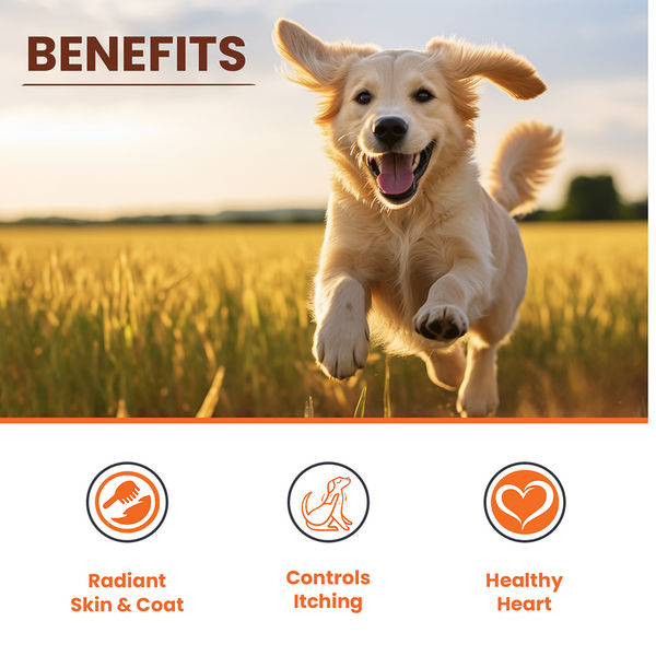 Lickicious Skin & Coat Syrup with Salmon Oil Omega 3 6 9 for Dogs & Cats