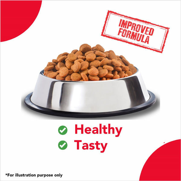 Active Chicken and Vegetables Adult Dog Dry Food (Buy 1 Get 1)