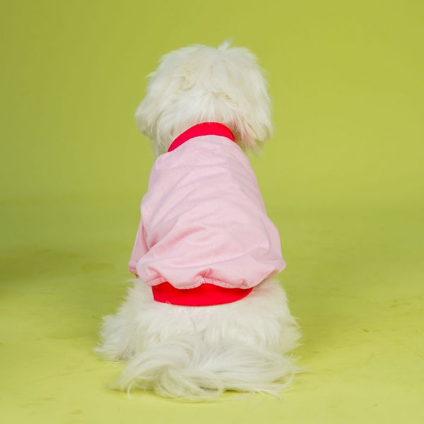 Pets Way Dive In Stripes Tshirt for Dogs (Blush)