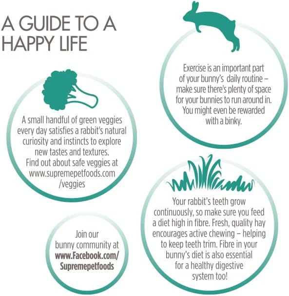 Science Selective Adult Rabbit Food