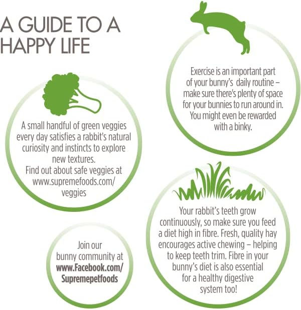 Science Selective Junior Rabbit Food