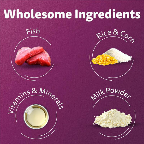 Whiskas Ocean Fish Kitten/Mother and Baby Cat Dry Food