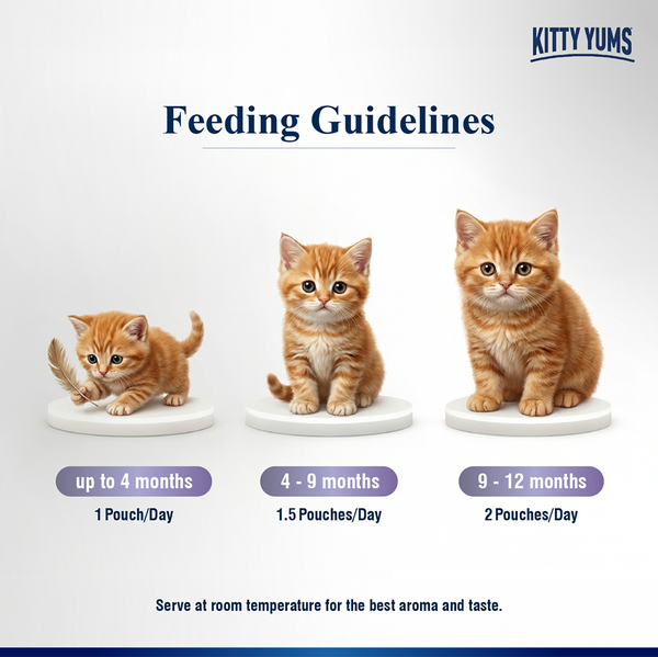 Kitty Yum Ocean Fish Mousse Kitten Cat Wet Food