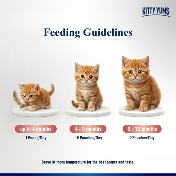 Kitty Yum Salmon Mousse Kitten Cat Wet Food
