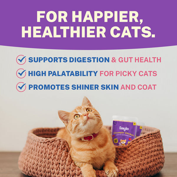 Smylo Kitten Chicken & Liver, Pomegranate, Fresh & No-Preservative Wet Cat Food