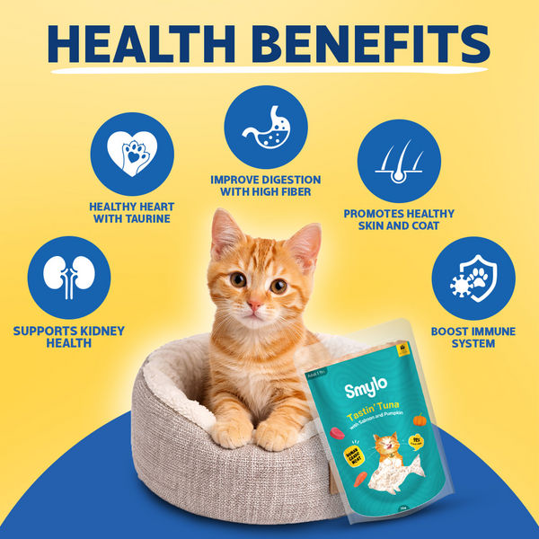 Smylo Adult Trial Box, Tuna, Chicken & Mackerel, Fresh & No-Preservative Wet Cat Food