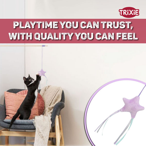 Trixie Junior Playing Rod with Star Toy for Cats