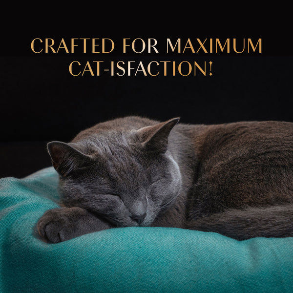 Sheba Tuna Flavor and Tuna & Prawn Maguro Selection Melty Premium Cat Treats