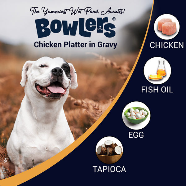 Bowlers Chicken Recipe in Gravy Dog Wet Food