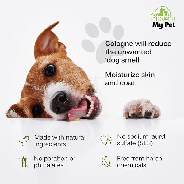 Groom My Pet Lavender and Jasmine Pampered Pooch Cologne for Dogs