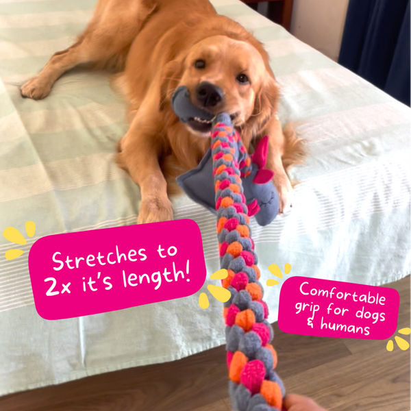 For The Love Of Dog Mr Tugasaur Squeaky Toy for Dogs (Blue/Green/Grey)