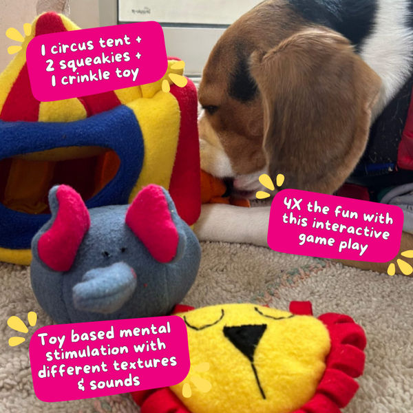 For The Love Of Dog Hide and Seek Squeaky Circus Toy for Dogs