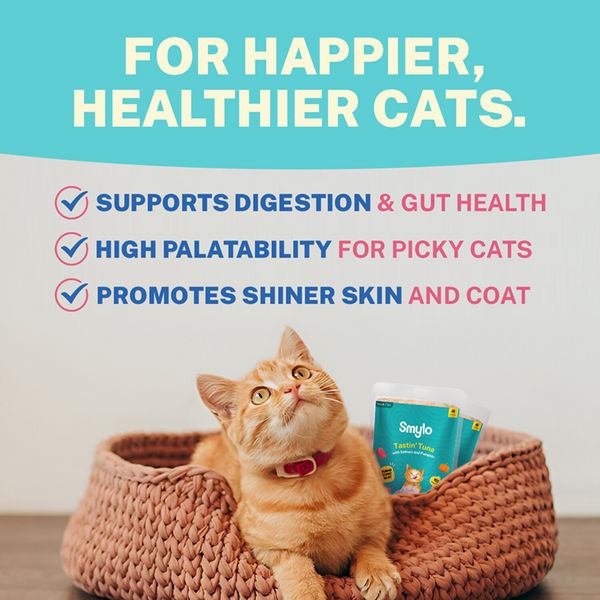 Smylo Adult Tuna Salmon & Pumpkin, Fresh & No-Preservative Wet Cat Food