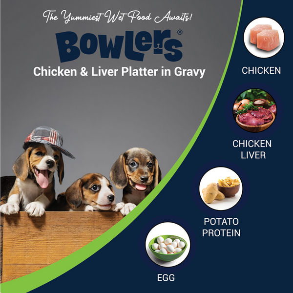 Bowlers Chicken & Milk Nutrimax Puppy Dog Dry and Chicken & Liver Recipe in Gravy Puppy Dog Wet Food Combo