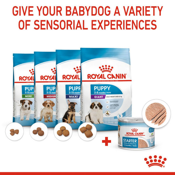 Royal Canin Mousse Mother and Baby Starter Dog Wet Food