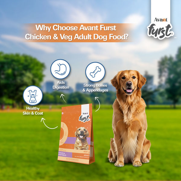 Avant Furst Chicken and Vegetable Adult Dog Dry Food