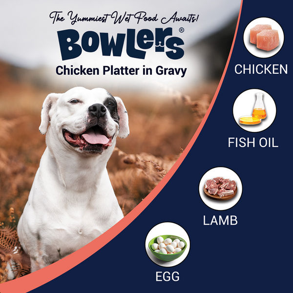 Bowlers Lamb in Gravy Adult Dog Wet Food