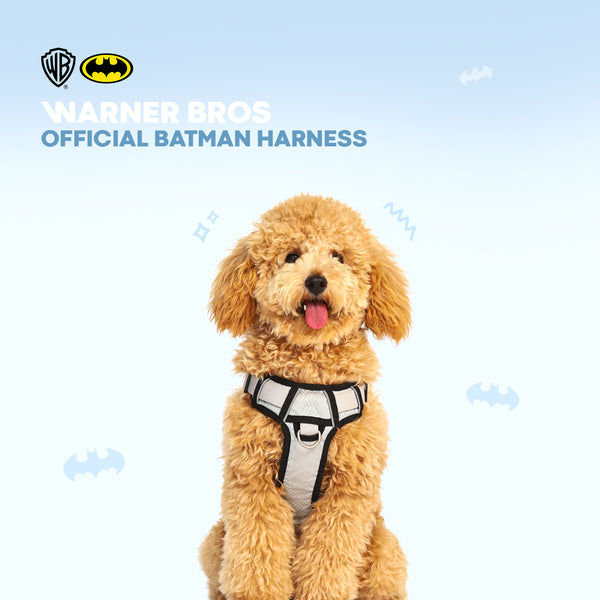Warner Bros Batman Harness for Dogs and Cats