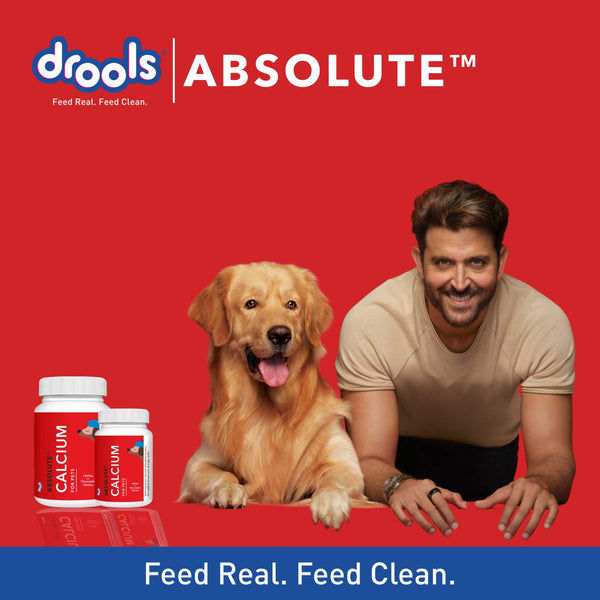 Drools Absolute Calcium Dog Supplement Tablets