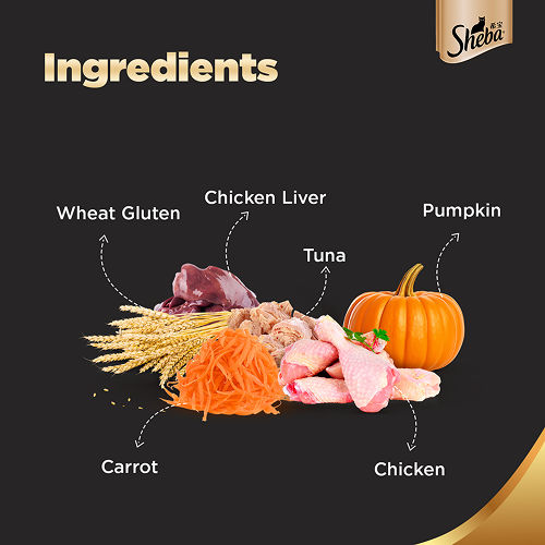 Sheba Maguro & Bream Fish and Tuna Pumpkin & Carrot In Gravy Rich Premium Cat Wet Food Combo