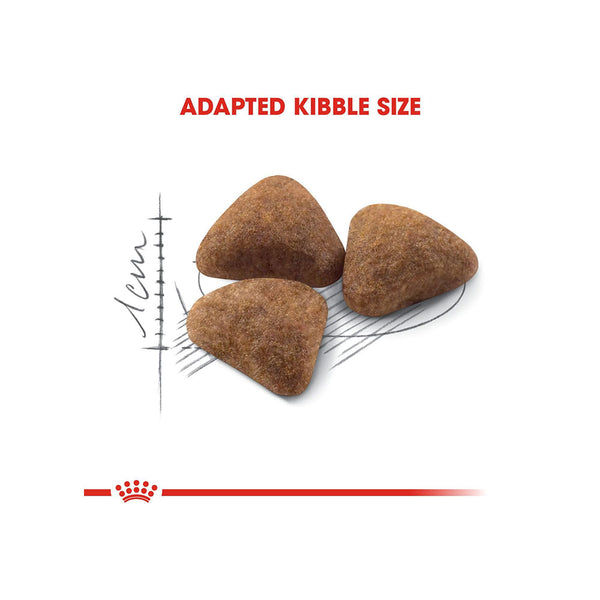 Royal Canin Indoor 27 Dry Cat Food