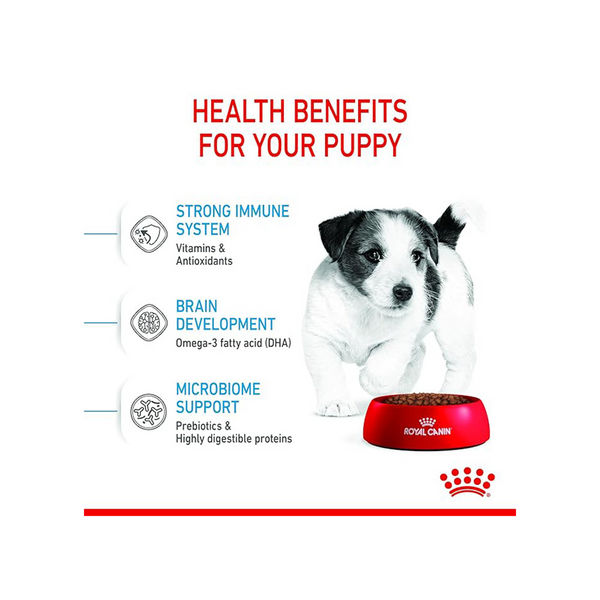 Royal Canin Mini Puppy Dog Dry Food