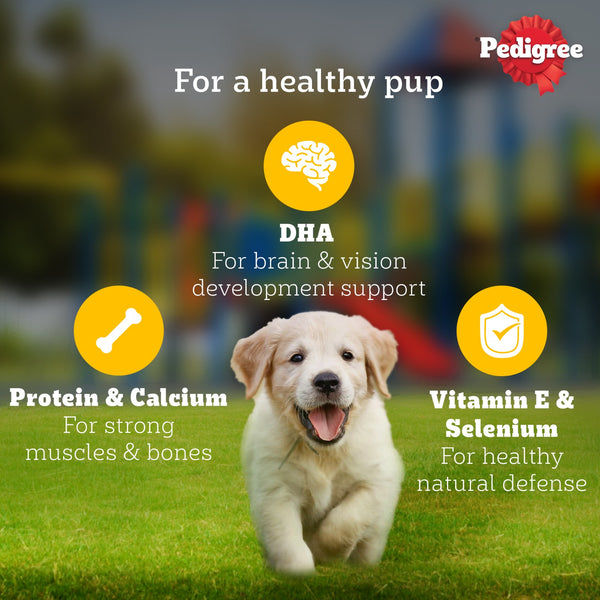 Pedigree Chicken & Liver Chunks in Gravy Puppy Wet Dog Food