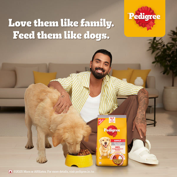 Pedigree Chicken, Egg and Rice Adult Dog Dry Food