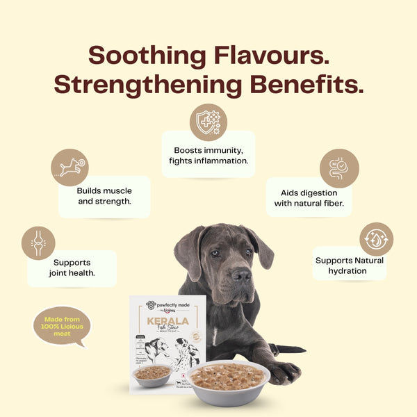 Pawfectly Made By Licious Kerala Fish Stew Gravy Adult Dog Wet Food