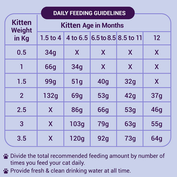 Purrfeto Chicken and Rice Kitten Cat Dry Food