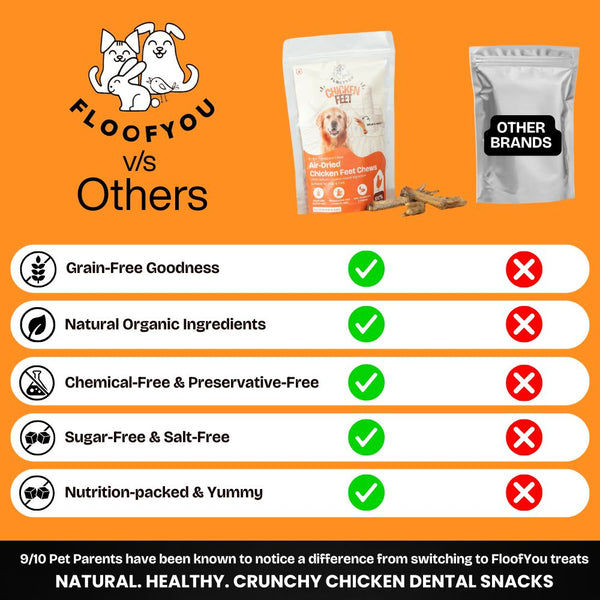 FloofYou Air Dried Chicken Feet Grain Free Chew Dog Treats