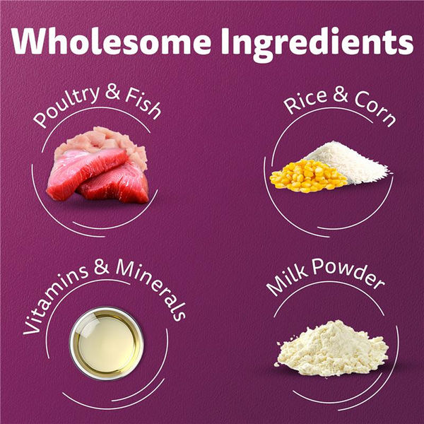 Whiskas Mackerel Flavour Kitten (2 to 12 months)Cat Dry Food