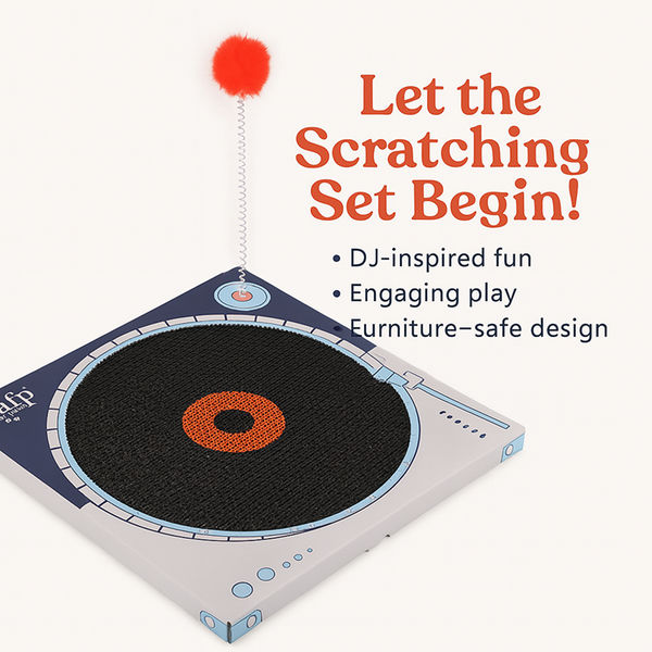 Talking Dog Club Vynil Scratcher Toy for Cats (Black)