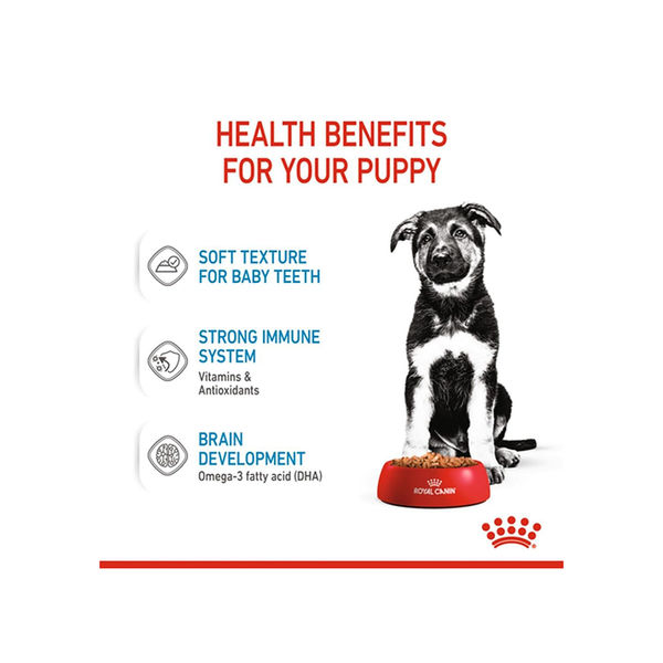 Royal Canin Maxi Puppy Dog Wet Food