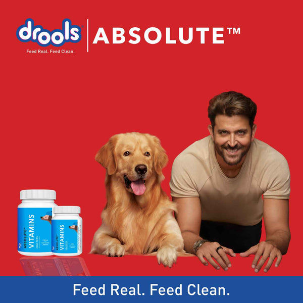 Drools Absolute Vitamin and Absolute Calcium Dog Supplement Tablets Combo