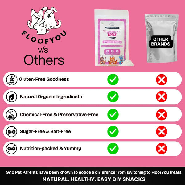Floofyou Home Made Carrot Apple Birthday Cake Mix for Dogs and Cats