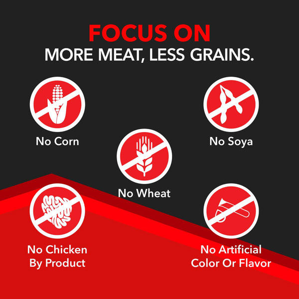 Drools Focus Super Premium Puppy Dog Dry Food | Corn & Wheat Free Formula