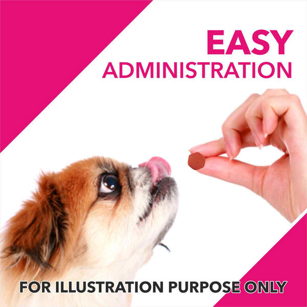 Drools Absolute Skin & Coat and  Absolute Calcium Supplement Tablets for Dogs Combo