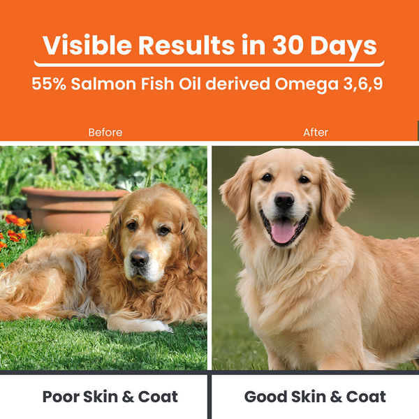 Lickicious Skin & Coat Syrup with Salmon Oil Omega 3 6 9 for Dogs & Cats