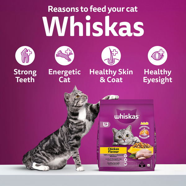 Whiskas Chicken Flavour Cat (Adult 1+) Dry Food