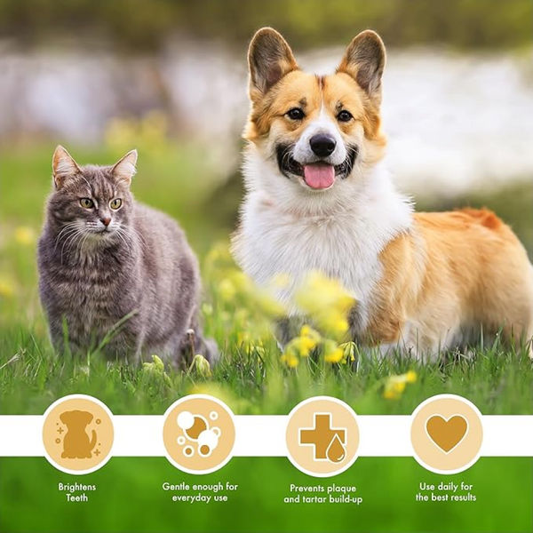 Petkin Peanut Butter Plaque Spray for Dogs and Cats