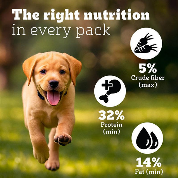 Pedigree PRO Expert Nutrition for Large Breed Puppy (3 to 18 Months) Dog Dry Food