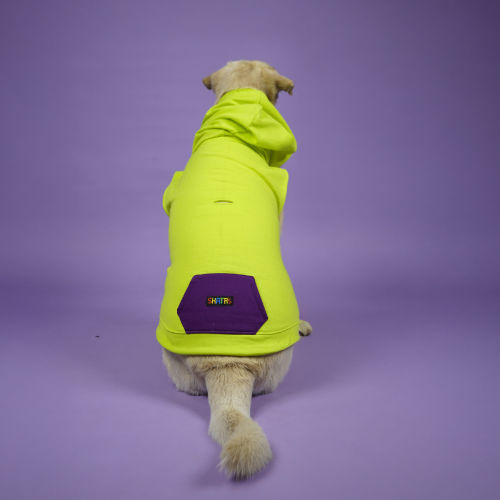 Skatrs Galaxy Breezy Hoodies with Pockets for Dogs and Cats (Green)