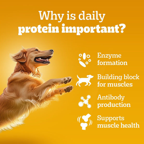 Pedigree Chicken and Liver Chunks in Gravy Adult Dog Wet Food (130g)