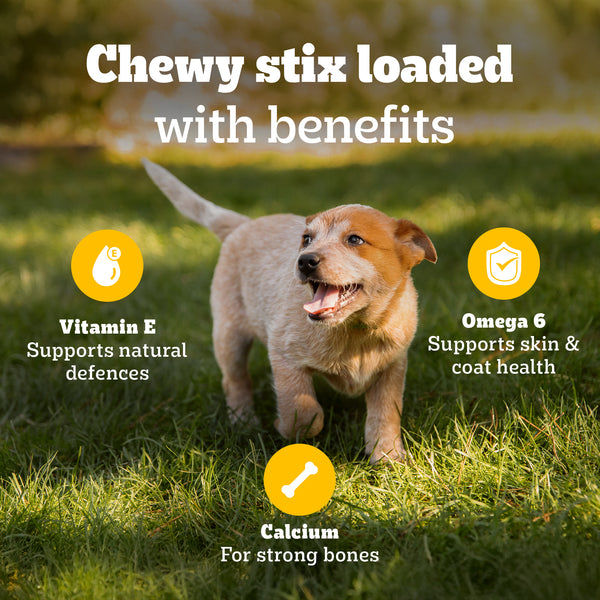 Pedigree Schmackos Stix Milk & Egg Flavour Puppy Dog Treat