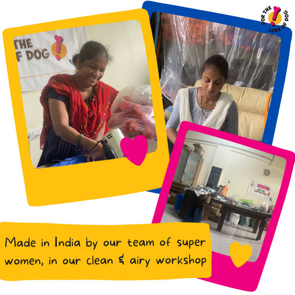 For The Love Of Dog Tug O Loop Chew Toy for Dogs (Pink/Green/Blue)