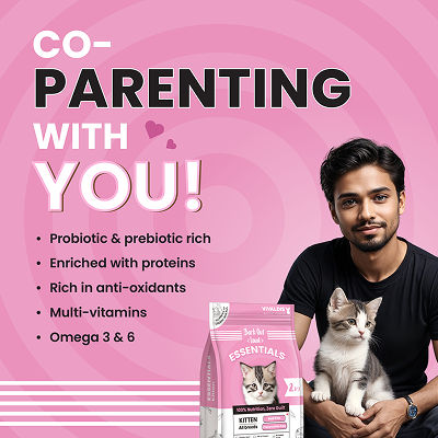 Bark Out Loud Essentials Real Fish Kitten Dry Food
