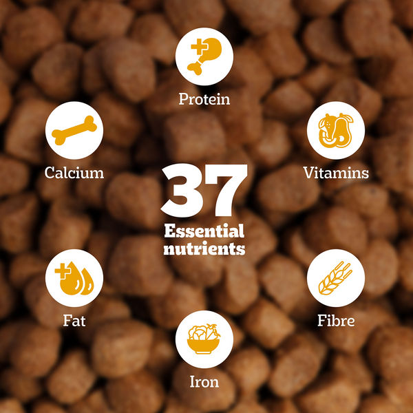 Pedigree Chicken and Vegetables Adult Dog Dry Food