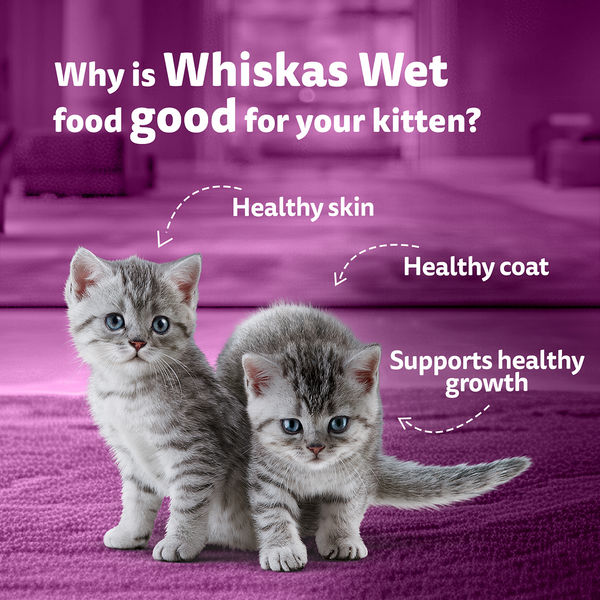Whiskas Tuna in Jelly Kitten Cat Wet Food (80g)